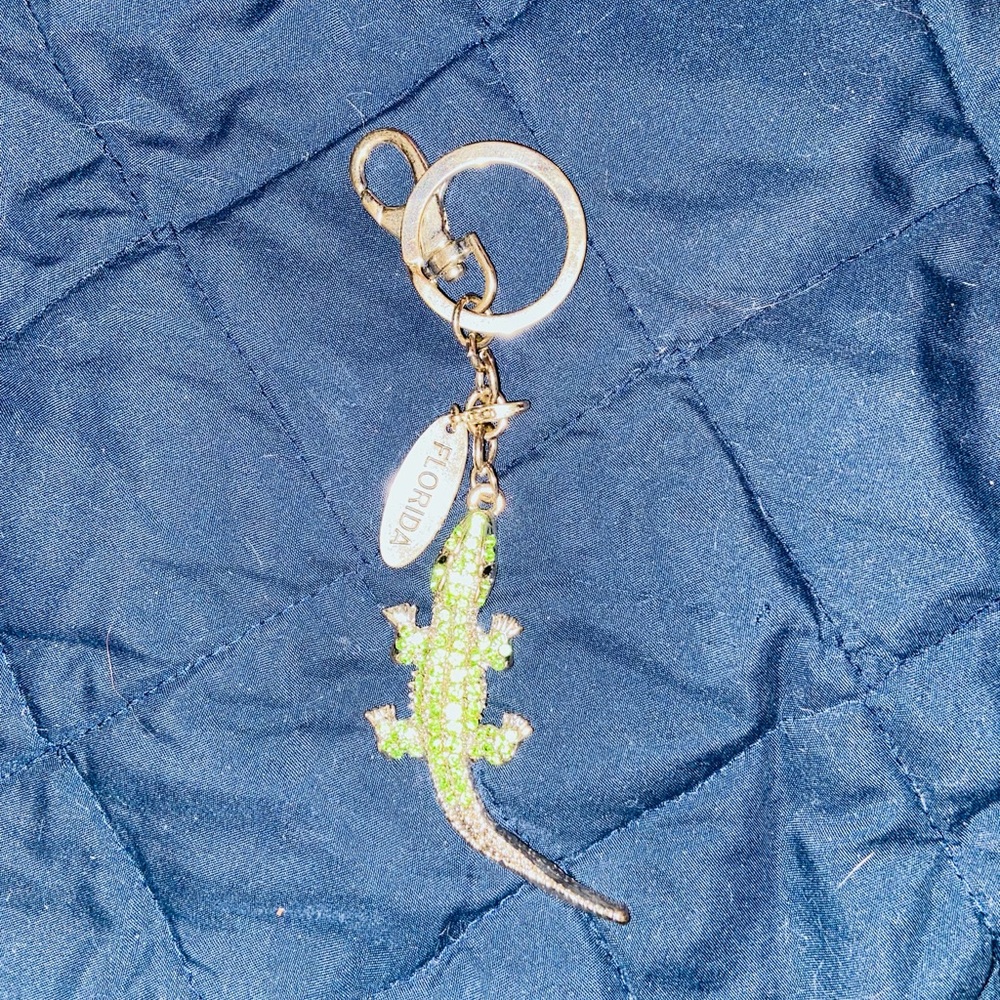 Florida Green and Silver Lizard Keychain